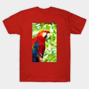 Scarlet Macaw Red Bird Perched in a Tree T-Shirt